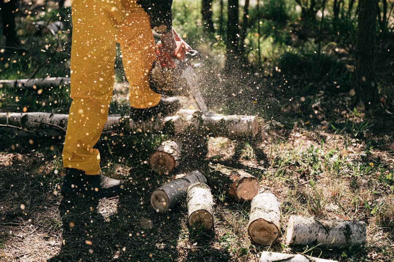 Best Tree Branch Trimming  in Monmouth Beach, NJ